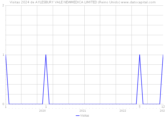 Visitas 2024 de AYLESBURY VALE NEWMEDICA LIMITED (Reino Unido) 