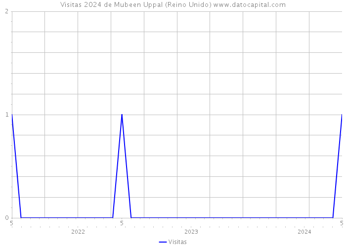 Visitas 2024 de Mubeen Uppal (Reino Unido) 