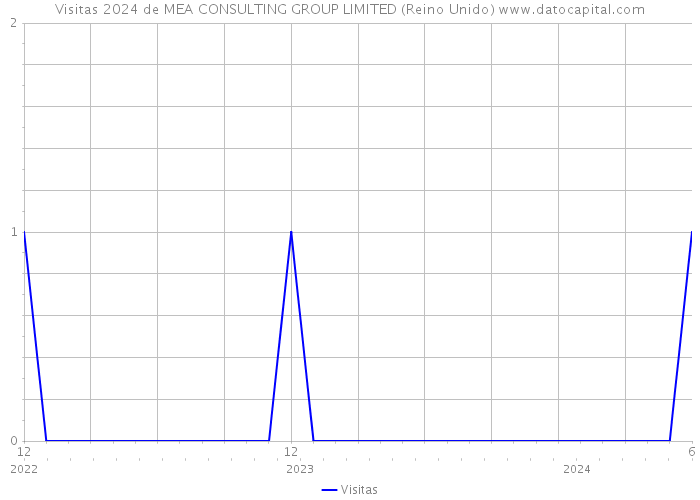 Visitas 2024 de MEA CONSULTING GROUP LIMITED (Reino Unido) 