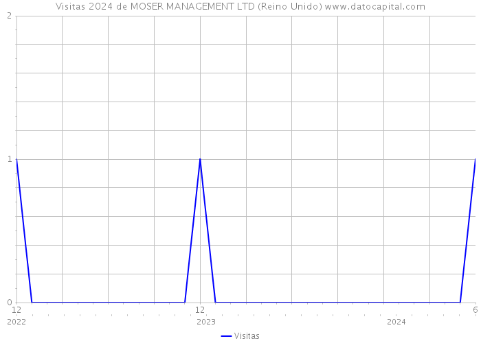 Visitas 2024 de MOSER MANAGEMENT LTD (Reino Unido) 