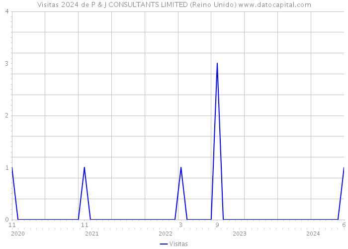 Visitas 2024 de P & J CONSULTANTS LIMITED (Reino Unido) 