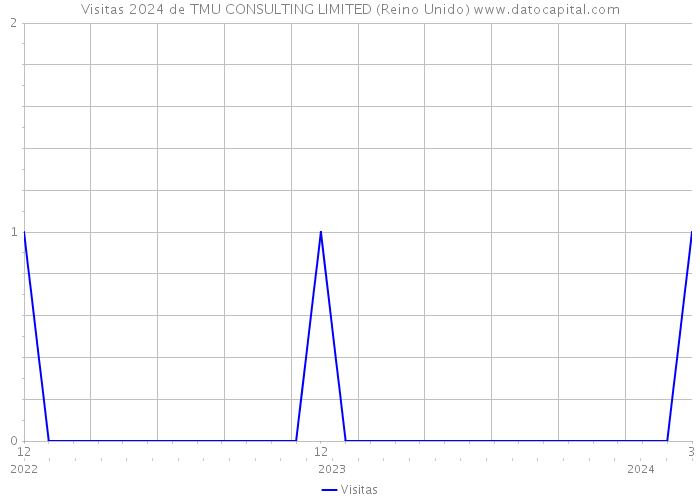 Visitas 2024 de TMU CONSULTING LIMITED (Reino Unido) 