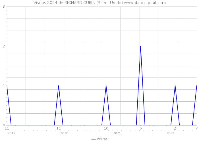 Visitas 2024 de RICHARD CUBIN (Reino Unido) 