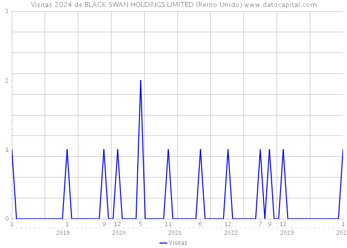 Visitas 2024 de BLACK SWAN HOLDINGS LIMITED (Reino Unido) 