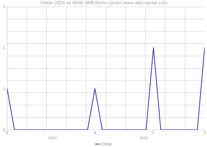 Visitas 2024 de IRINA GRIB (Reino Unido) 