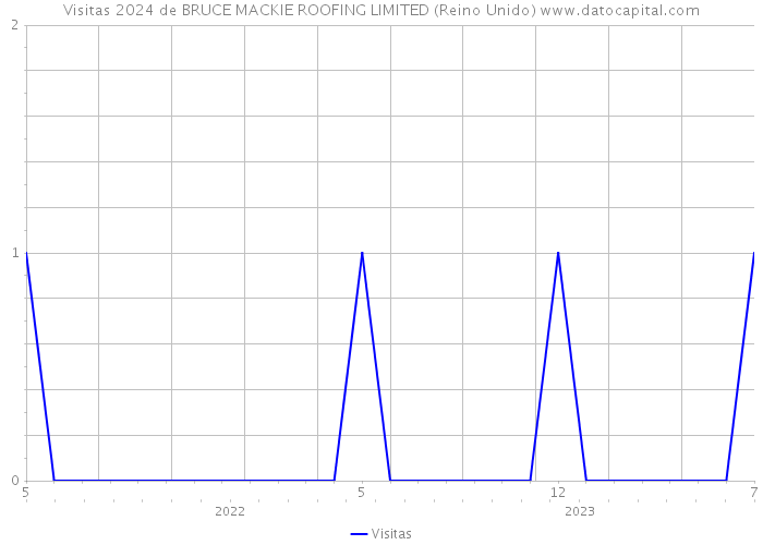 Visitas 2024 de BRUCE MACKIE ROOFING LIMITED (Reino Unido) 