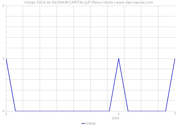 Visitas 2024 de SAGINAW CAPITAL LLP (Reino Unido) 