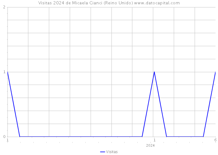 Visitas 2024 de Micaela Cianci (Reino Unido) 