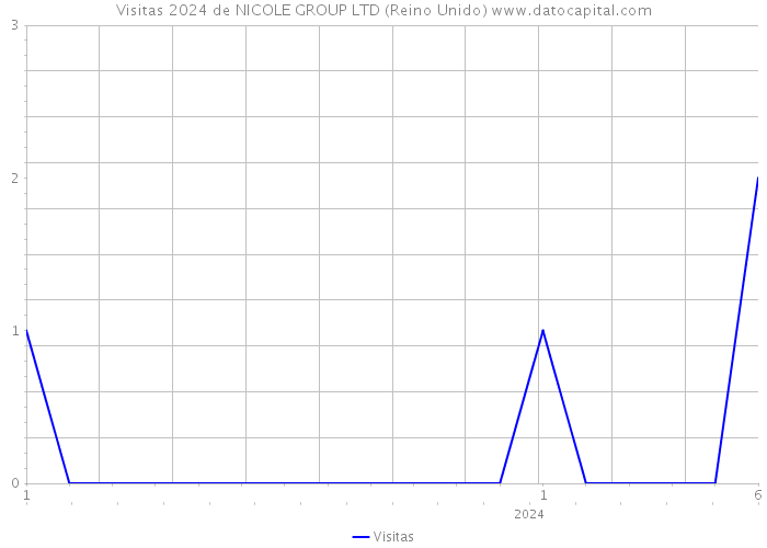 Visitas 2024 de NICOLE GROUP LTD (Reino Unido) 