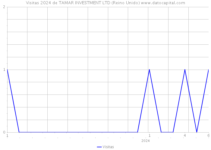 Visitas 2024 de TAMAR INVESTMENT LTD (Reino Unido) 