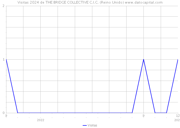 Visitas 2024 de THE BRIDGE COLLECTIVE C.I.C. (Reino Unido) 