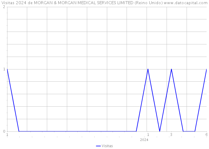 Visitas 2024 de MORGAN & MORGAN MEDICAL SERVICES LIMITED (Reino Unido) 
