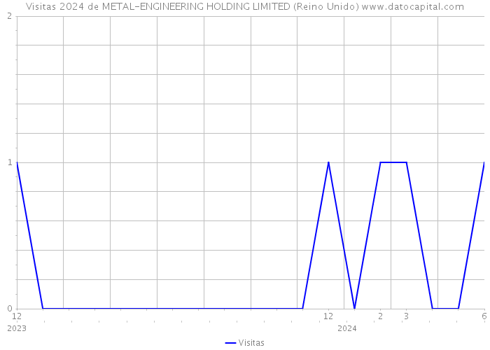 Visitas 2024 de METAL-ENGINEERING HOLDING LIMITED (Reino Unido) 