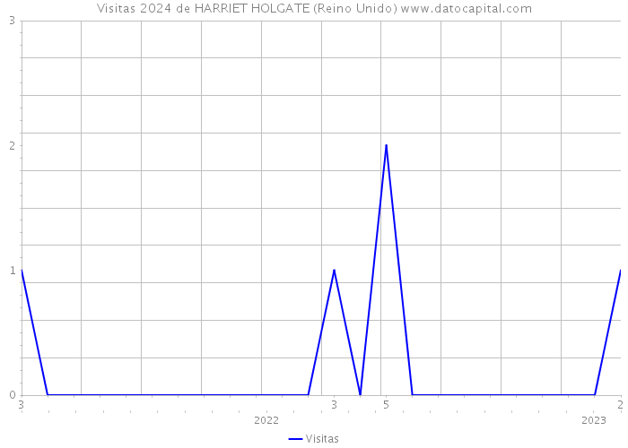 Visitas 2024 de HARRIET HOLGATE (Reino Unido) 