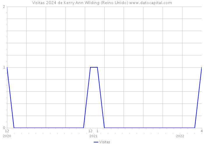 Visitas 2024 de Kerry Ann Wilding (Reino Unido) 