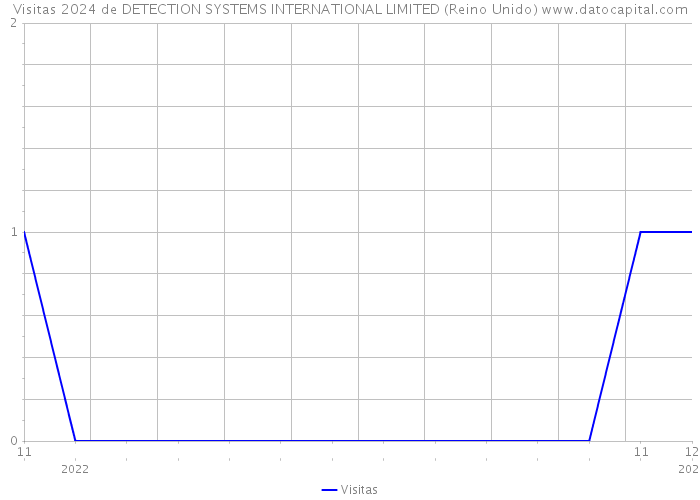 Visitas 2024 de DETECTION SYSTEMS INTERNATIONAL LIMITED (Reino Unido) 