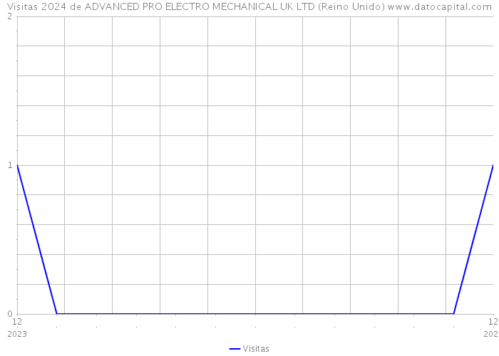 Visitas 2024 de ADVANCED PRO ELECTRO MECHANICAL UK LTD (Reino Unido) 