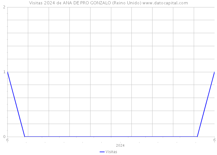 Visitas 2024 de ANA DE PRO GONZALO (Reino Unido) 