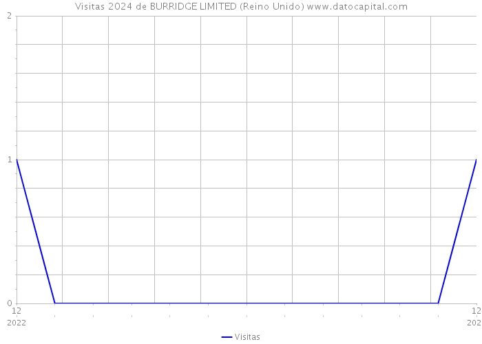 Visitas 2024 de BURRIDGE LIMITED (Reino Unido) 