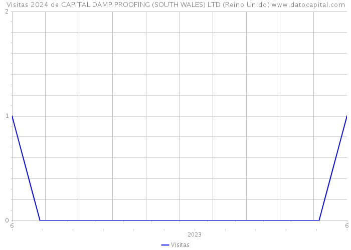 Visitas 2024 de CAPITAL DAMP PROOFING (SOUTH WALES) LTD (Reino Unido) 