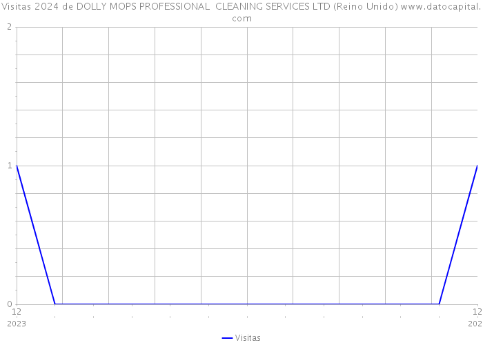 Visitas 2024 de DOLLY MOPS PROFESSIONAL CLEANING SERVICES LTD (Reino Unido) 