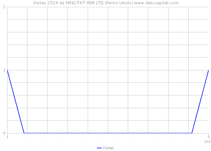 Visitas 2024 de HING FAT 888 LTD (Reino Unido) 