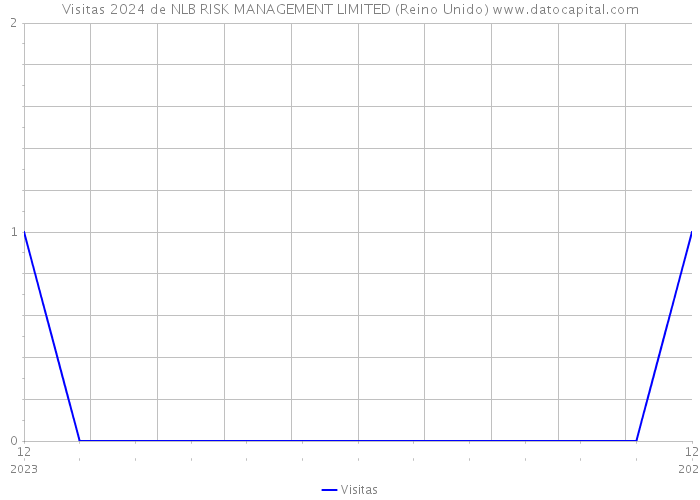 Visitas 2024 de NLB RISK MANAGEMENT LIMITED (Reino Unido) 