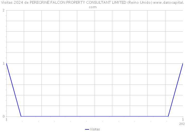 Visitas 2024 de PEREGRINE FALCON PROPERTY CONSULTANT LIMITED (Reino Unido) 