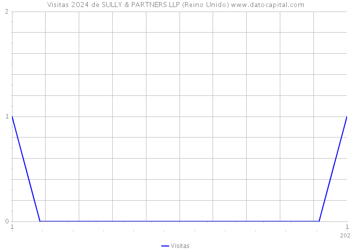 Visitas 2024 de SULLY & PARTNERS LLP (Reino Unido) 