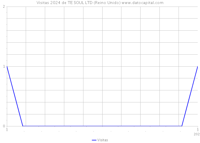 Visitas 2024 de TE SOUL LTD (Reino Unido) 