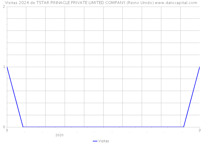 Visitas 2024 de TSTAR PINNACLE PRIVATE LIMITED COMPANY (Reino Unido) 