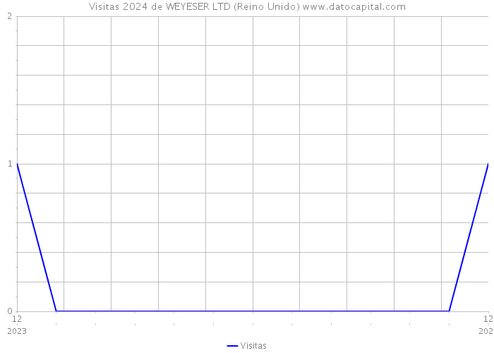 Visitas 2024 de WEYESER LTD (Reino Unido) 