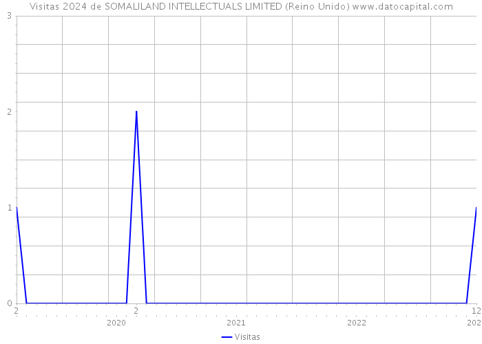 Visitas 2024 de SOMALILAND INTELLECTUALS LIMITED (Reino Unido) 