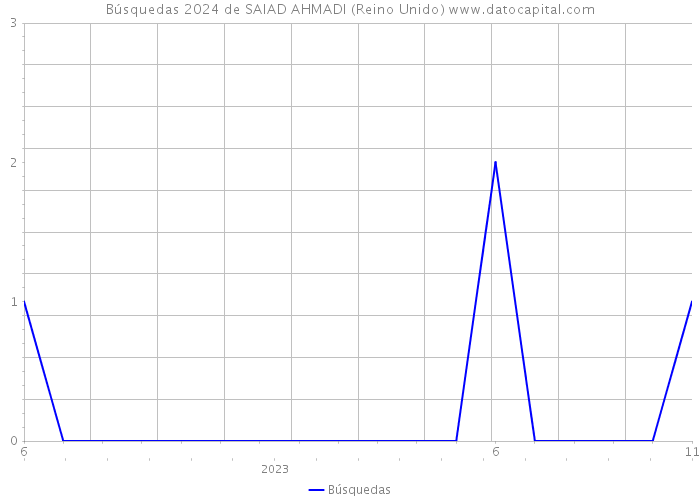 Búsquedas 2024 de SAIAD AHMADI (Reino Unido) 