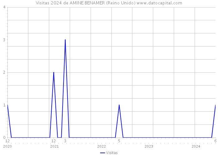 Visitas 2024 de AMINE BENAMER (Reino Unido) 