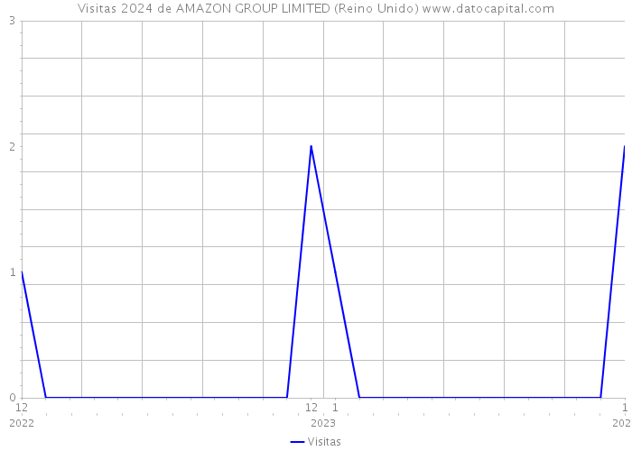 Visitas 2024 de AMAZON GROUP LIMITED (Reino Unido) 