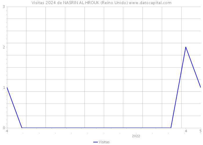 Visitas 2024 de NASRIN AL HROUK (Reino Unido) 