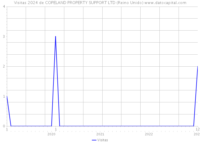 Visitas 2024 de COPELAND PROPERTY SUPPORT LTD (Reino Unido) 