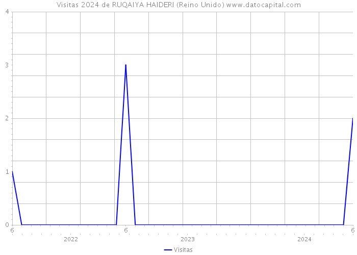 Visitas 2024 de RUQAIYA HAIDERI (Reino Unido) 