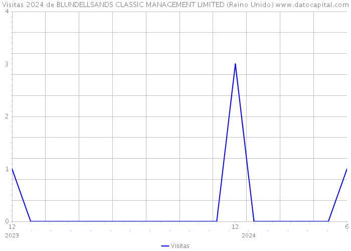 Visitas 2024 de BLUNDELLSANDS CLASSIC MANAGEMENT LIMITED (Reino Unido) 