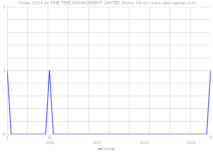 Visitas 2024 de PINE TREE MANAGEMENT LIMITED (Reino Unido) 