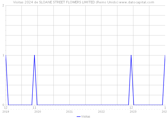 Visitas 2024 de SLOANE STREET FLOWERS LIMITED (Reino Unido) 