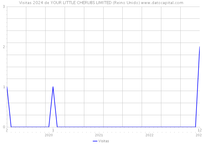 Visitas 2024 de YOUR LITTLE CHERUBS LIMITED (Reino Unido) 