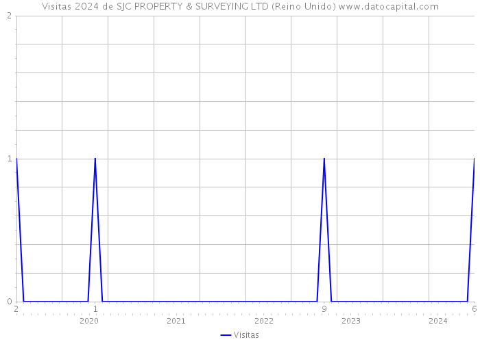 Visitas 2024 de SJC PROPERTY & SURVEYING LTD (Reino Unido) 