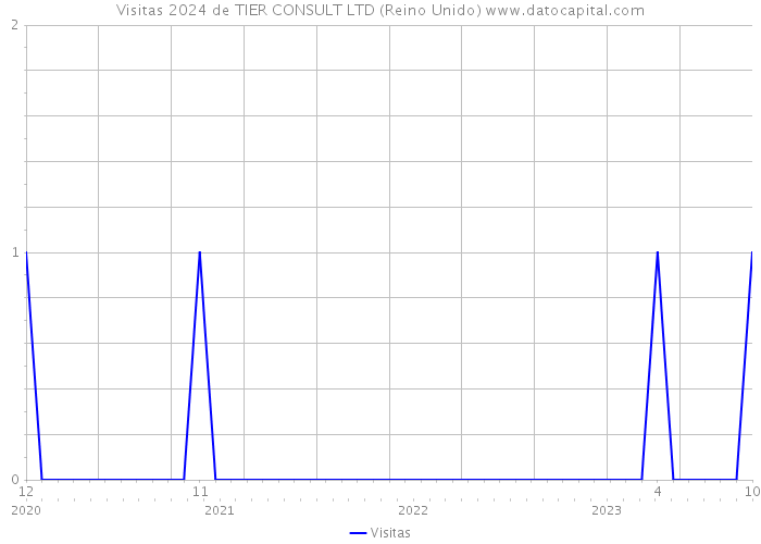 Visitas 2024 de TIER CONSULT LTD (Reino Unido) 