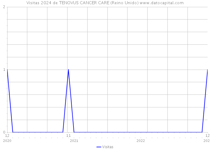 Visitas 2024 de TENOVUS CANCER CARE (Reino Unido) 