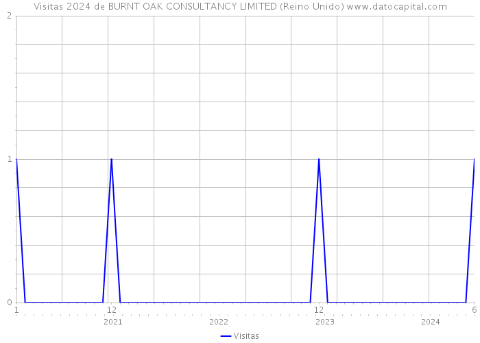 Visitas 2024 de BURNT OAK CONSULTANCY LIMITED (Reino Unido) 