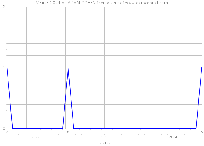 Visitas 2024 de ADAM COHEN (Reino Unido) 