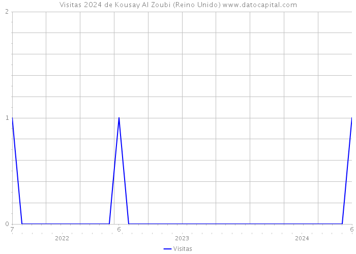 Visitas 2024 de Kousay Al Zoubi (Reino Unido) 