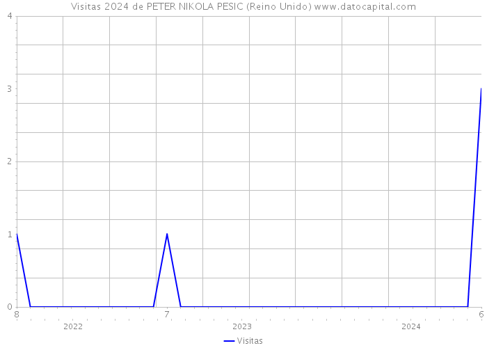 Visitas 2024 de PETER NIKOLA PESIC (Reino Unido) 